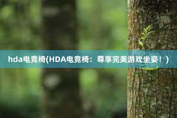 hda电竞椅(HDA电竞椅：尊享完美游戏坐姿！)