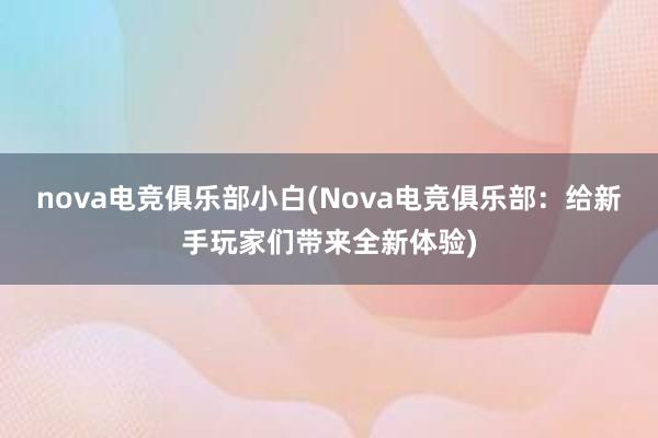 nova电竞俱乐部小白(Nova电竞俱乐部：给新手玩家们带来全新体验)