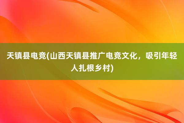 天镇县电竞(山西天镇县推广电竞文化，吸引年轻人扎根乡村)