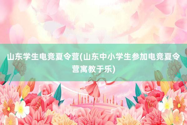 山东学生电竞夏令营(山东中小学生参加电竞夏令营寓教于乐)