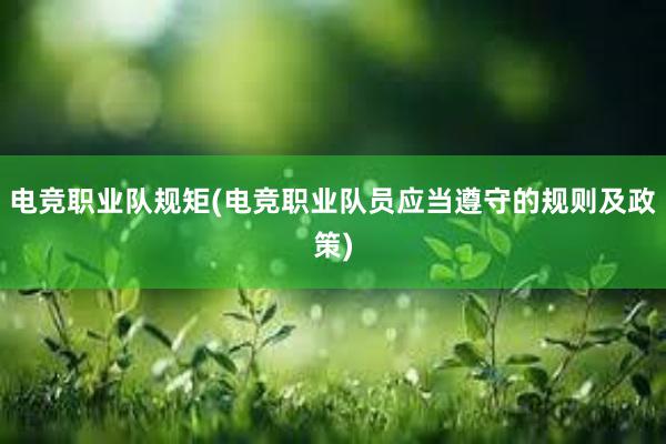 电竞职业队规矩(电竞职业队员应当遵守的规则及政策)