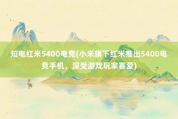 知电红米5400电竞(小米旗下红米推出5400电竞手机，深受游戏玩家喜爱)