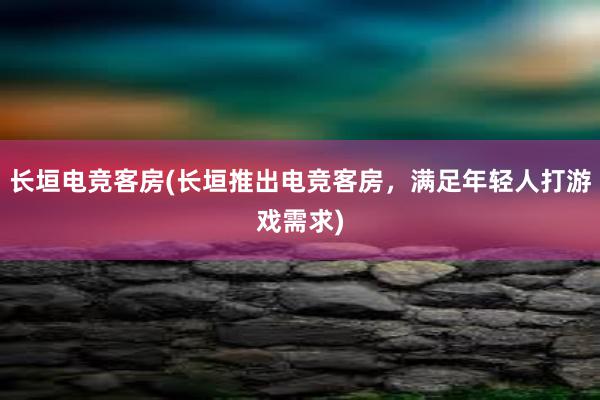 长垣电竞客房(长垣推出电竞客房，满足年轻人打游戏需求)