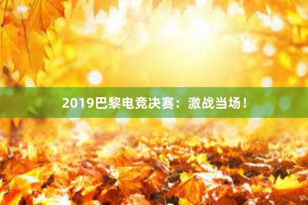 2019巴黎电竞决赛：激战当场！