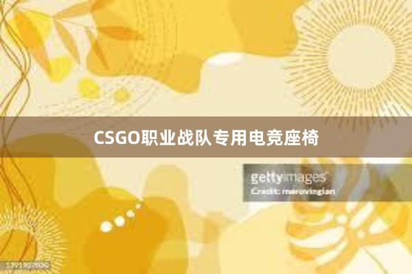 CSGO职业战队专用电竞座椅