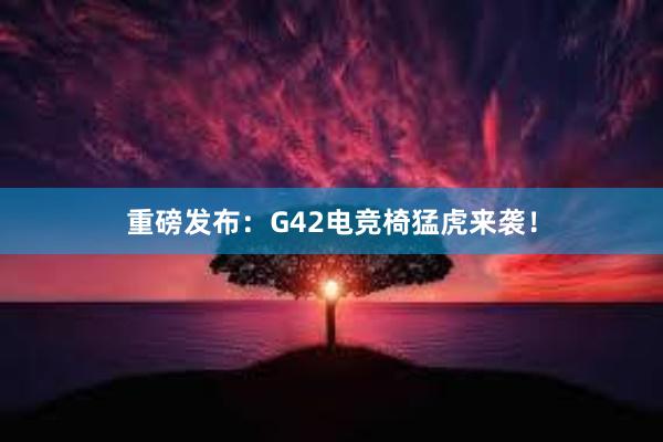 重磅发布：G42电竞椅猛虎来袭！