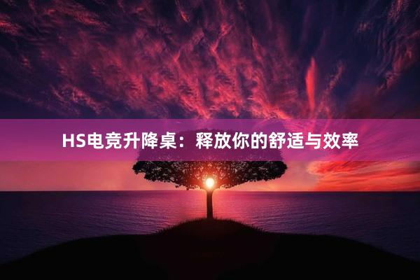 HS电竞升降桌：释放你的舒适与效率