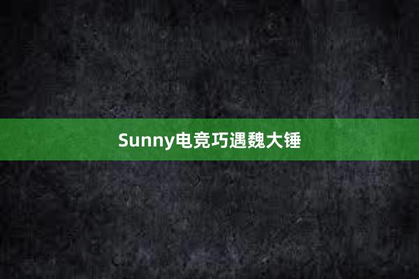 Sunny电竞巧遇魏大锤