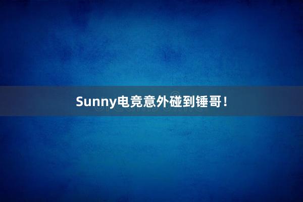 Sunny电竞意外碰到锤哥！