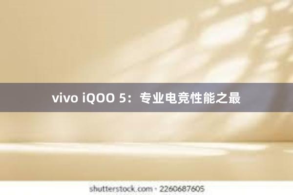 vivo iQOO 5：专业电竞性能之最