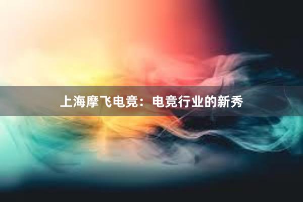 上海摩飞电竞：电竞行业的新秀