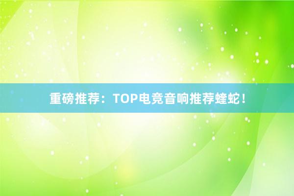 重磅推荐：TOP电竞音响推荐蝰蛇！